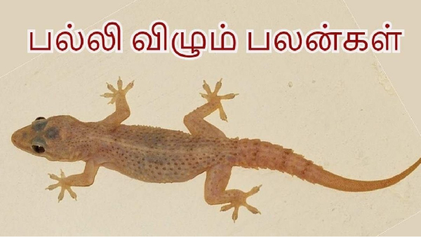 Devotees eager to see the lizard throngs gather at Brihadeeswarar Temple Thanjavur 