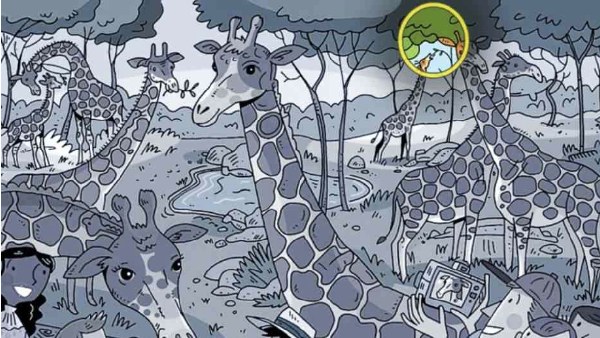  Spot The Carrot Only Optical Illusion Masters Can do it In 8 Seconds