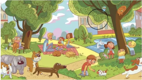 Find the lion in this optical illusion picture, during on 15 seconds time 