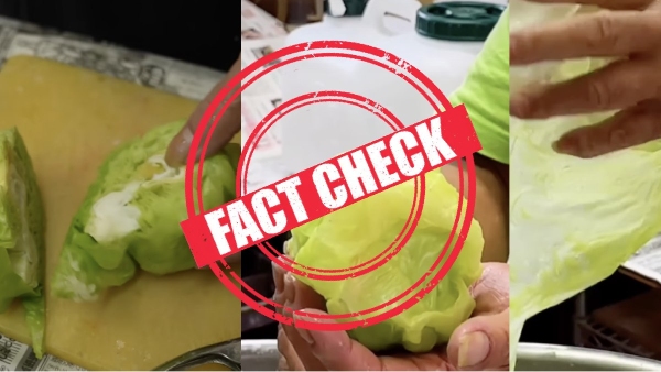 Fact check about video claiming that Chinese made plastic artificial Cabbages 