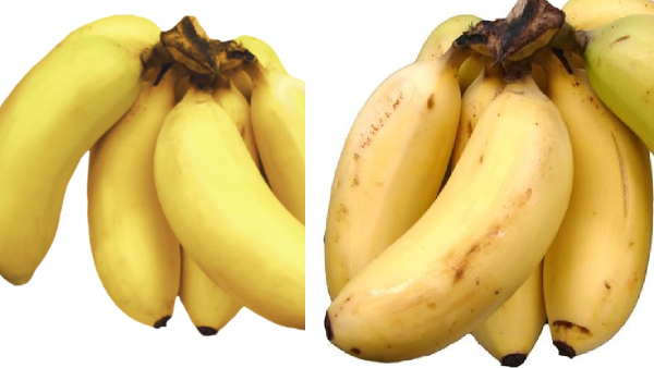 When is the correct Period to feed banana for Born Babies and the Do you know Amazing Health Benefits of Rasthali When is the correct Period to feed banana for Born Babies and the Do you know Amazing Health Benefits of Rasthali