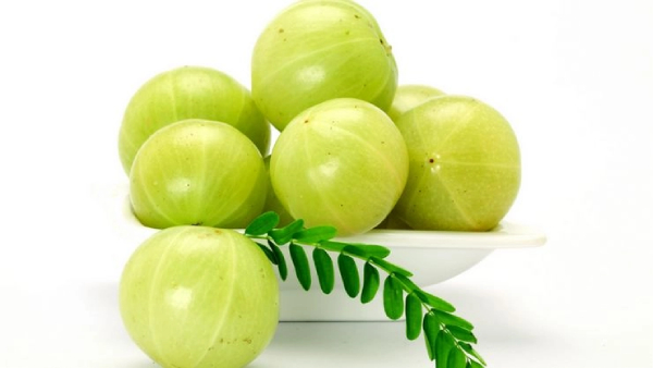 Do you know Excellent Health Benefits of Gooseberry and Amla Nellikkai is the Super Fruit for all 