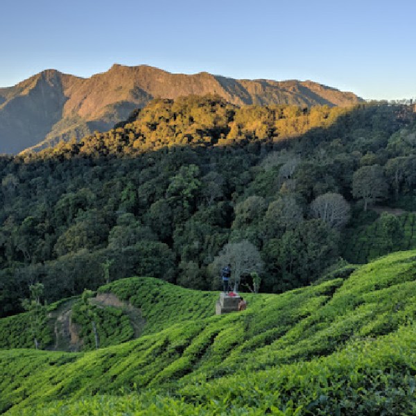 Kurangani to top station : see the review of the entry point of the natural wonder Kurangani to top station : see the review of the entry point of the natural wonder