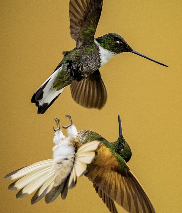 Vetri Duraisamy’s insta post: Vetri Duraisamy is a lover of nature 