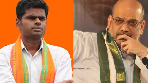 Lok Sabha election 2024: A senior may not get chance and become Governor in Tamil Nadu soon Lok Sabha election 2024: A senior may not get chance and become Governor in Tamil Nadu soon