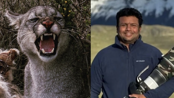 Vetri Duraisamy’s insta post: Vetri Duraisamy is a lover of nature 