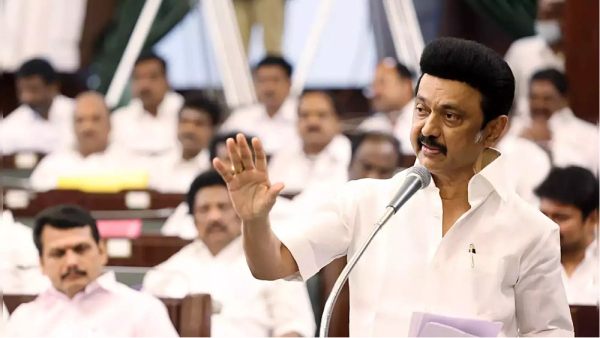 Is this TN Budget 2024 had announcement regarding monthly electricity count 