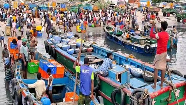  Rameswaram fishermen went fishing after a week after their hunger strike was called off 