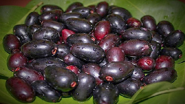 Do you know the Amazing Health Benefits of Naval Fruit Leaves and Jamun Leaf Juice is the Super Boosts Immunity 
