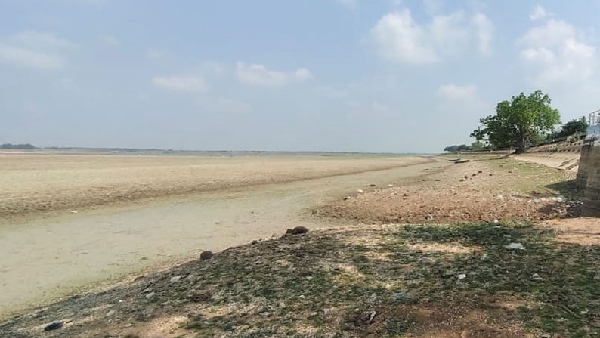 Veeranam Lake one of the lakes that supply drinking water to Chennai city 