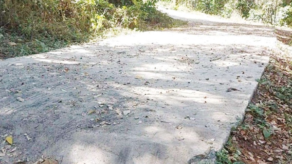 Escape Road near Ooty? Facts brought to light by vehicle stuck near O Valley check post 