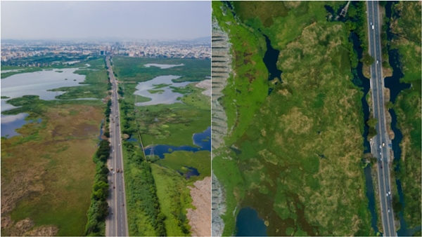 Tamil Nadu government has set up a committee to investigate Pallikaranai swamp land encroachment Tamil Nadu government has set up a committee to investigate Pallikaranai swamp land encroachment