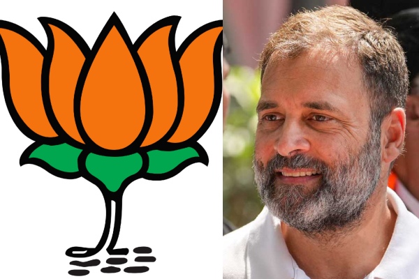 Rahul Gandhi criticizes BJP for trying to topple Jharkhand government 