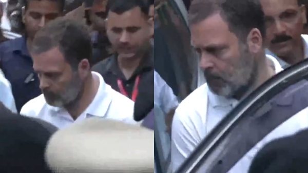 Wild elephant Attack Deaths: Rahul Gandhi visits Wayanad VP Paul residence 