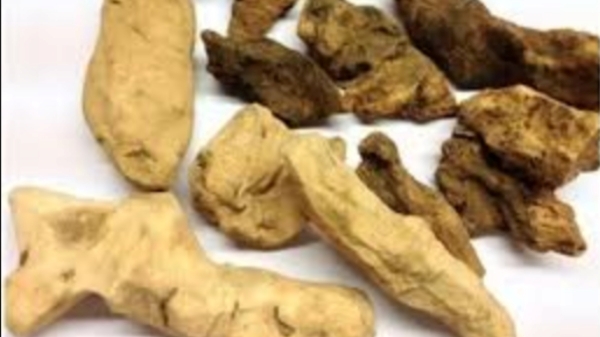 What are the Amazing Uses of Parangipattai Powder and Parangi Pattai Sooranam is the Best for Skin diseases