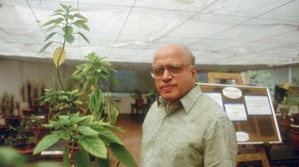 Who is MS Swaminathan the man behind India Green Revolution for whom Bharat Ratna was announced Who is MS Swaminathan the man behind India Green Revolution for whom Bharat Ratna was announced