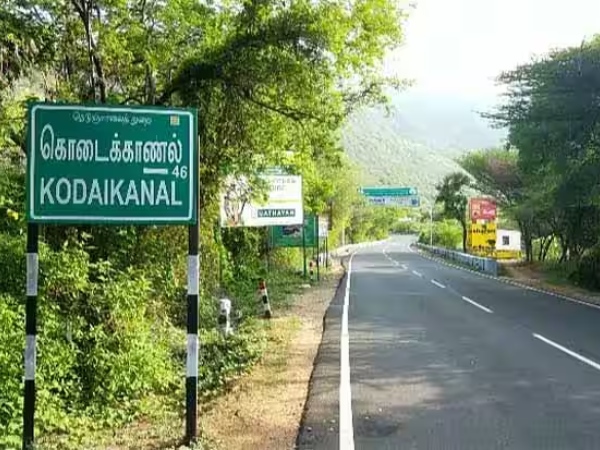 Surprise for farmers and what are the Special things of Kodaikanal Hill garlic alice Malaipoondu Surprise for farmers and what are the Special things of Kodaikanal Hill garlic alice Malaipoondu