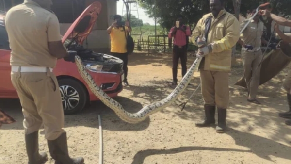Tirunelveli Valliyur and Who is this Car Owner Palani, what happened in Thirunelveli Valliyur main road 
