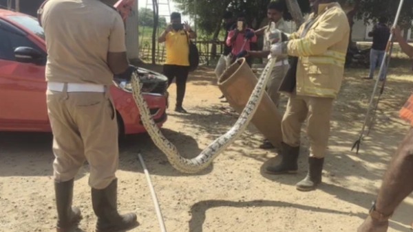 Tirunelveli Valliyur and Who is this Car Owner Palani, what happened in Thirunelveli Valliyur main road 