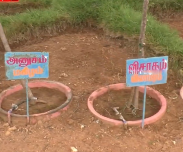 Fact check about the video of a farmer making natural rain through the zodiac and stars 