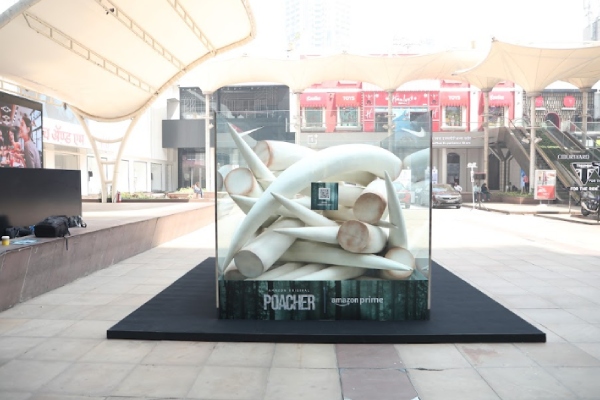  Amazon tried a different way to promote the Pocher series about elephants 