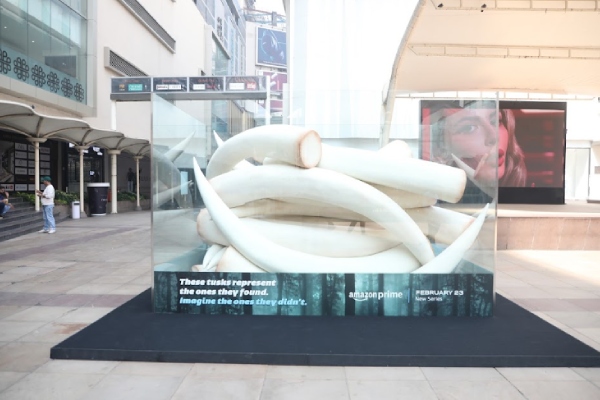  Amazon tried a different way to promote the Pocher series about elephants 