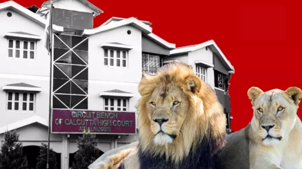 Calcutta court has ordered to change the names of lions Sita and Akbar 