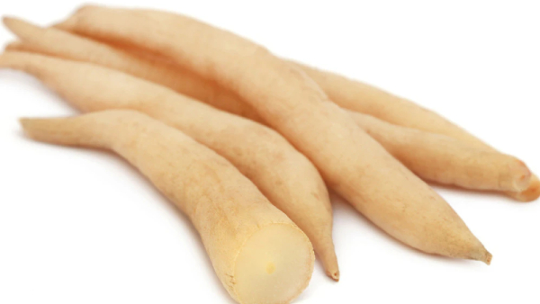 Do you know the Excellent Health Benefits of Thaneer Vittan Kizhangu and thanneervittan Kilangu is the Best Medicine for Women