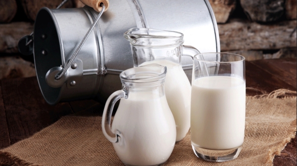 What is the best time to drink milk every day and how much one can intake 