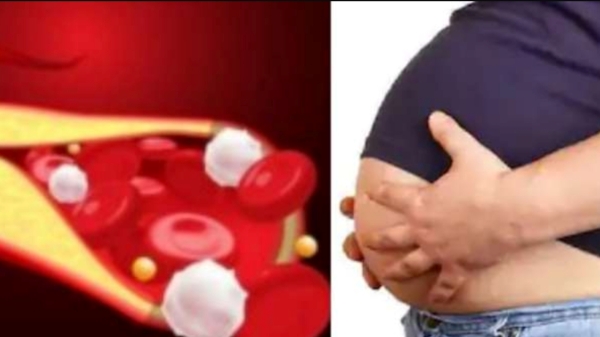 Do you know Health Benefits of Broccoli Tea and Super health Drinks to reduce your Body weight Do you know Health Benefits of Broccoli Tea and Super health Drinks to reduce your Body weight