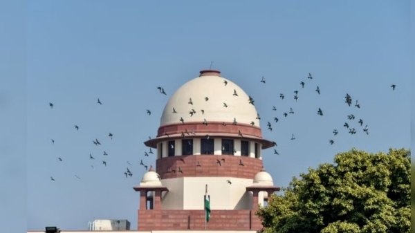 Supreme court says Will examine 2004 verdict on sub - class in SCs, STs for quota Supreme court says Will examine 2004 verdict on sub - class in SCs, STs for quota