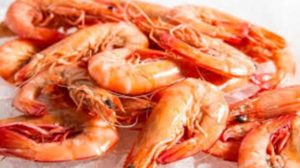 Do you know the Excellent Health Benefits of Prawn and Prawns are the Best for Weight Loss Do you know the Excellent Health Benefits of Prawn and Prawns are the Best for Weight Loss