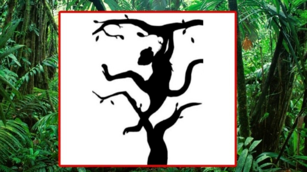  Optical Illusion: what you see in this image reveals you your hidden brain power