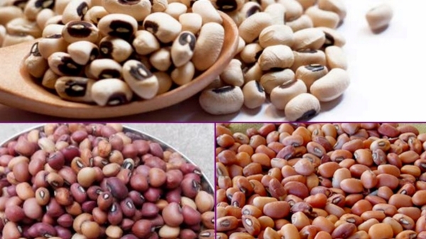 Do you know the excellent health benefits of Karamani and Green Gram Thattai Payiru is the best for women