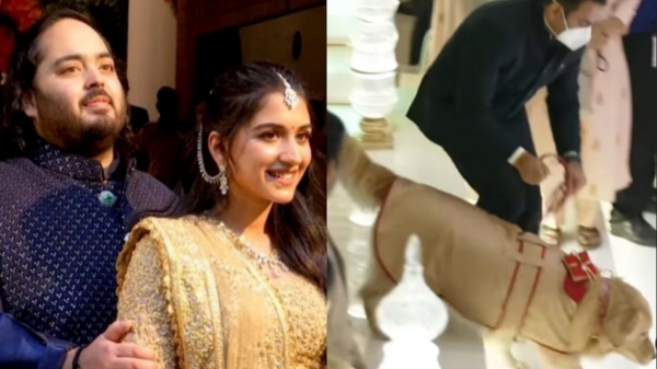  Do you know who was the ring bearer in Anand Ambani Radhika engagement? 