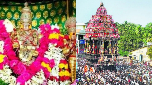 Masi Festival Therottam in Tiruchendur: Valli Murugan Tirukalyanam in Tiruthani Murugan temple 