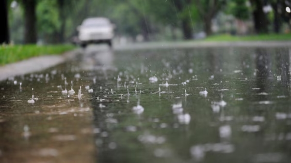 IMD has announced that there is a possibility of rain in 9 districts of Tamil Nadu in the next 2 hours 