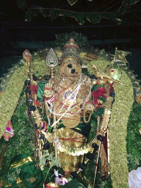 Tiruchendur murugan temple masi festival Tomorrow Therottam 