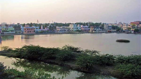 Despite an case against encroachments, NGT is shocked by G.O. granting Velachery lake land to TNHB Despite an case against encroachments, NGT is shocked by G.O. granting Velachery lake land to TNHB