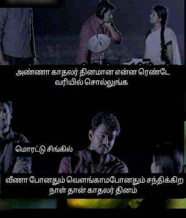 valentines day memes : Funny memes collection on singles valentines day celebrations 11.02.2024