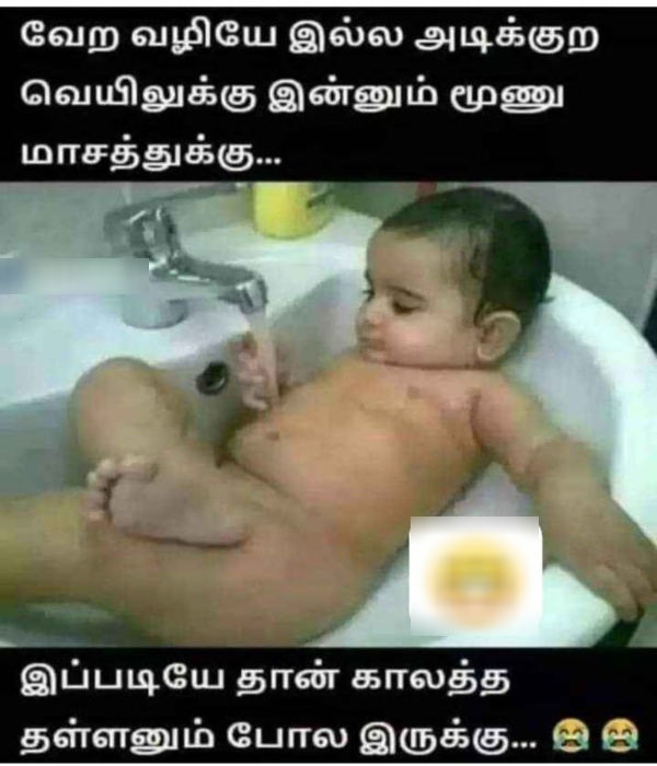 Heat memes Funny memes collection on summar 19 03 2024