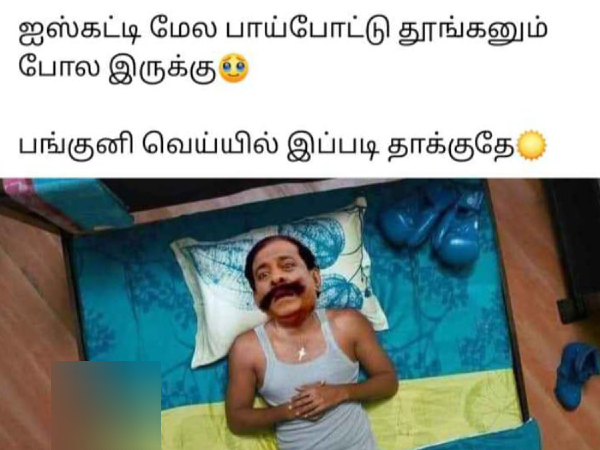 Funny memes collection on summar 12-03-2024