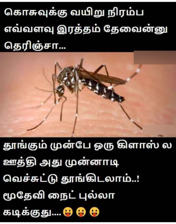 Funny memes collection on Mosquito 27-03-2024