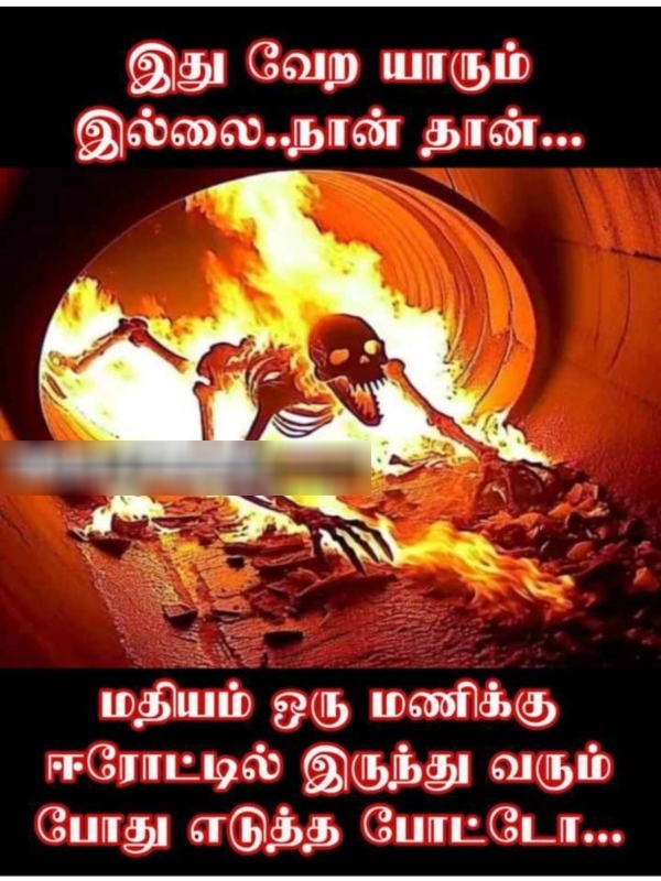 Heat memes Funny memes collection on summar 19 03 2024