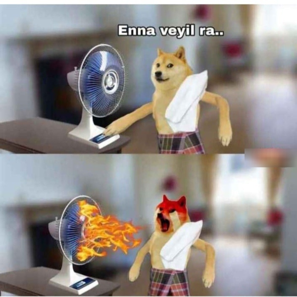 Heat memes Funny memes collection on summar 19 03 2024