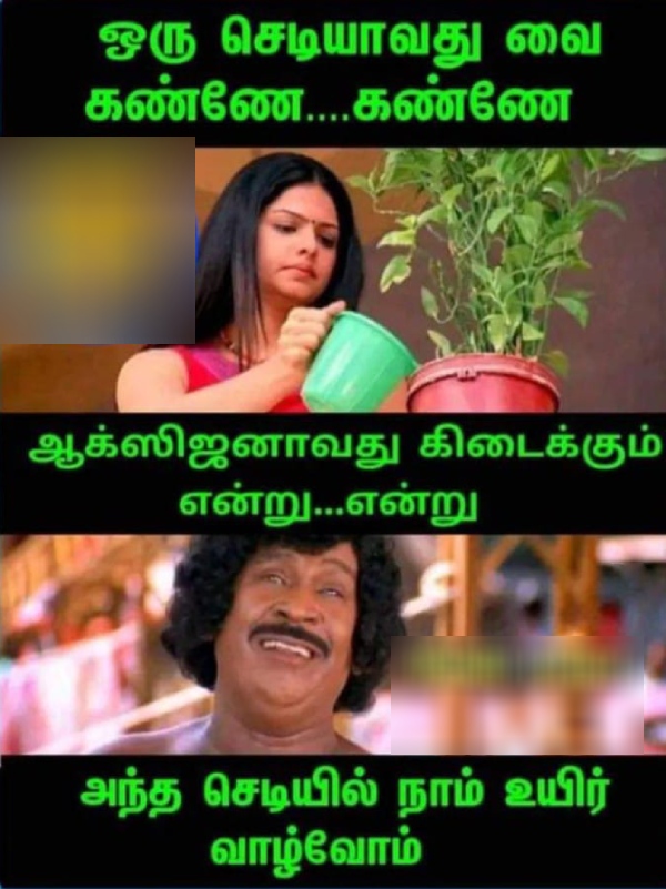 Funny memes collection on summar 12-03-2024