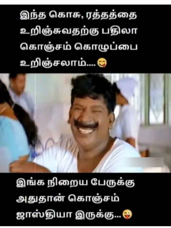 Funny memes collection on Mosquito 27-03-2024