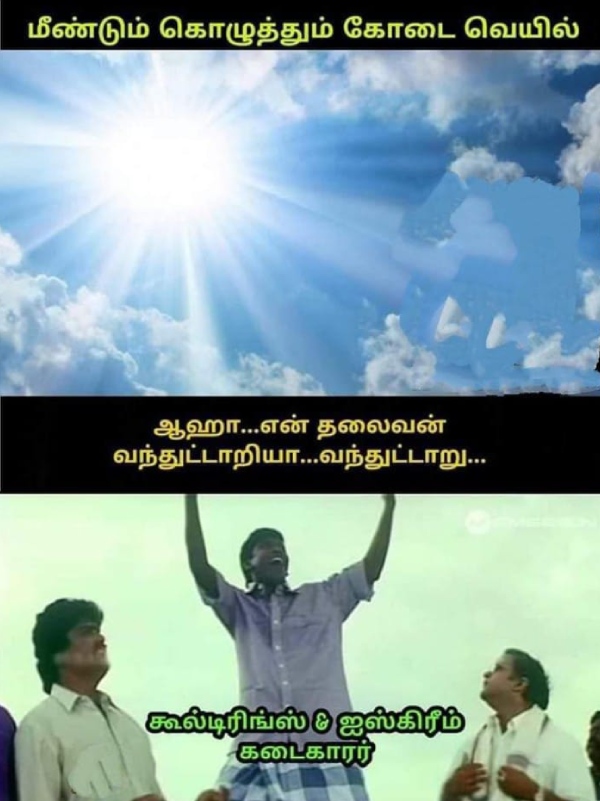 Funny memes collection on summar 12-03-2024