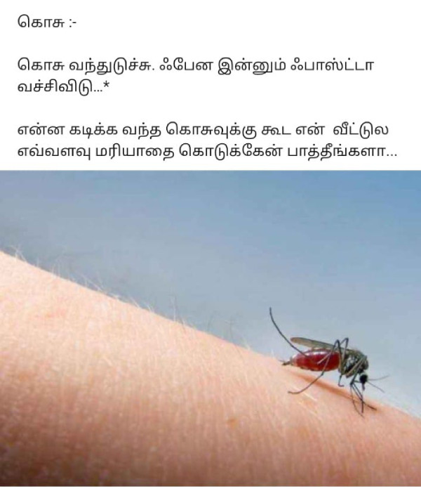 Funny memes collection on Mosquito 27-03-2024