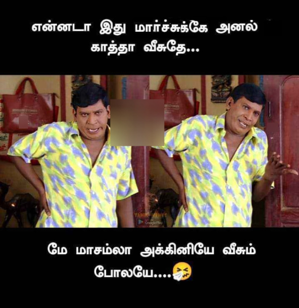 March Heat memes Funny memes collection on summar 04-03-2024